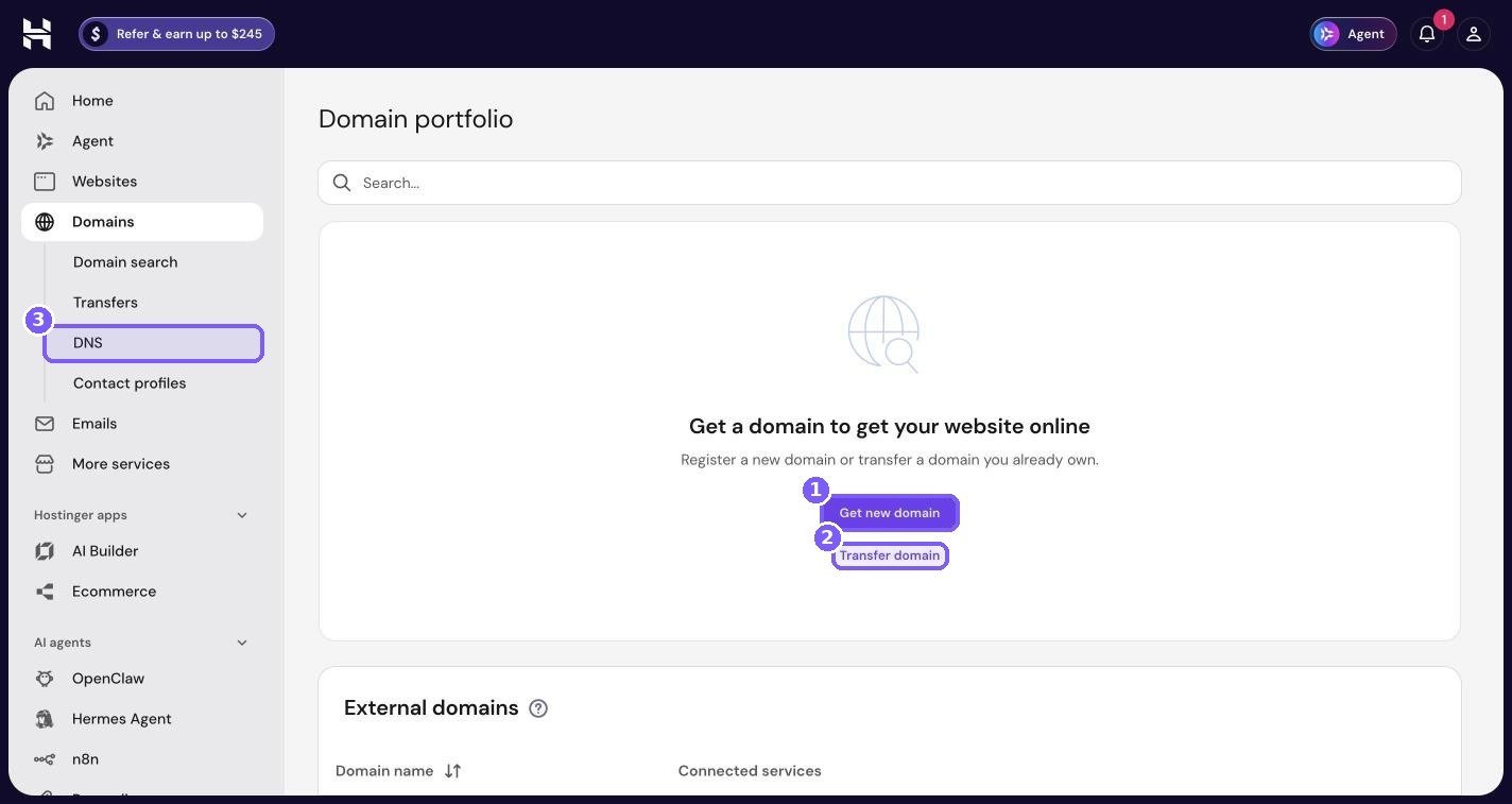 Hostinger hPanel Domain portfolio with Get new domain button, Transfer domain link and DNS menu highlighted