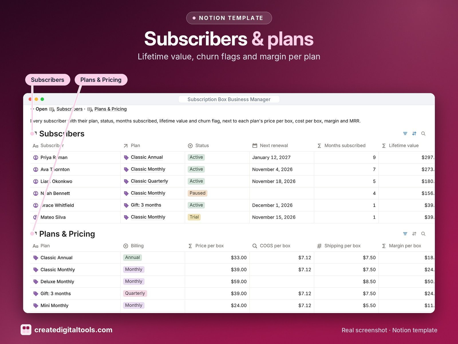 Subscription Box Business Manager Notion template: Subscribers plans