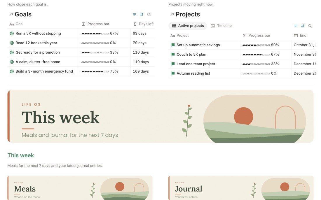 Life OS database view