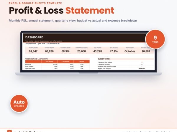 Profit and Loss Statement spreadsheet dashboard on a laptop